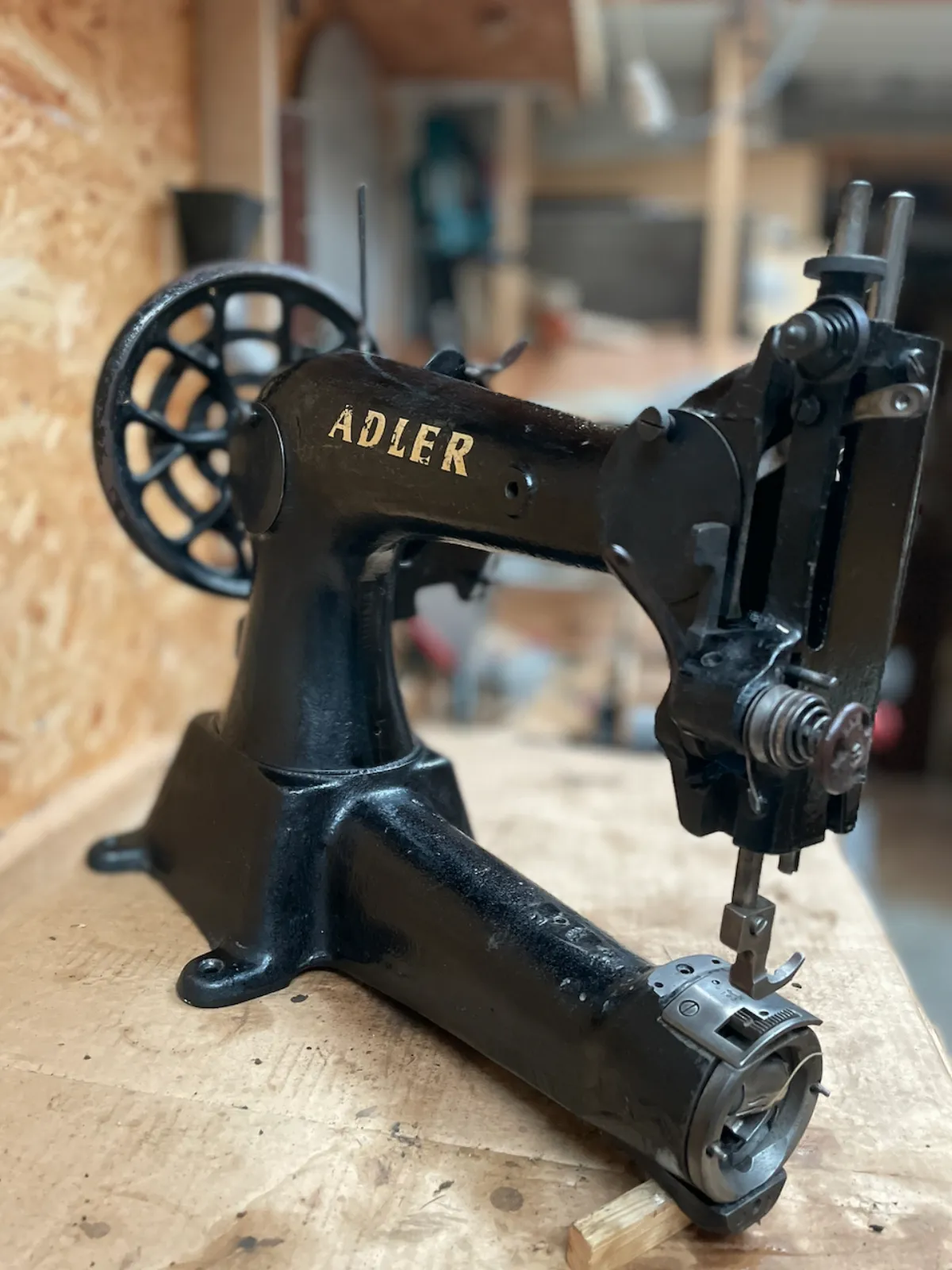 Adler 5-6
